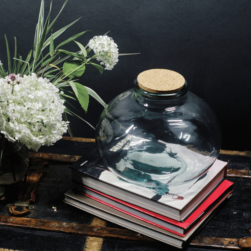 Clear Glass Terrarium