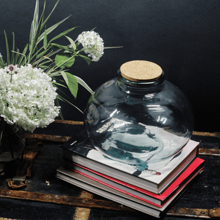 Clear Glass Terrarium
