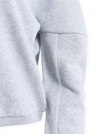 Cropped Sweatshirt in Grey