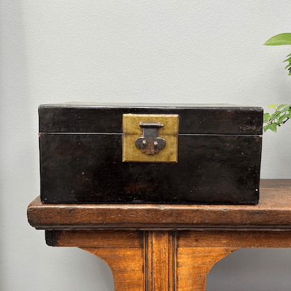 Dark Brown Vintage Chinese Hardwood Case