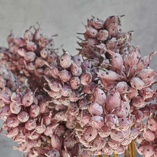 Heirloom Thistle Stem - Mauve - Artificial Flo