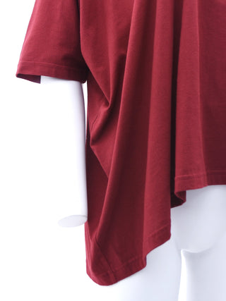 Red Asymmetric Top