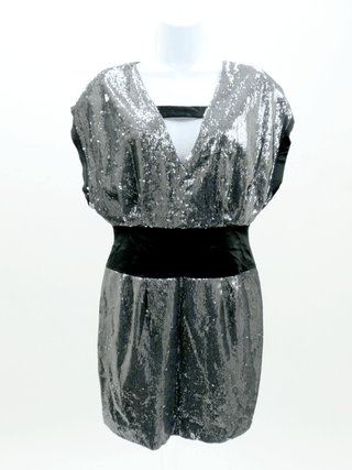 Silver Grey Sequin Mini Dress